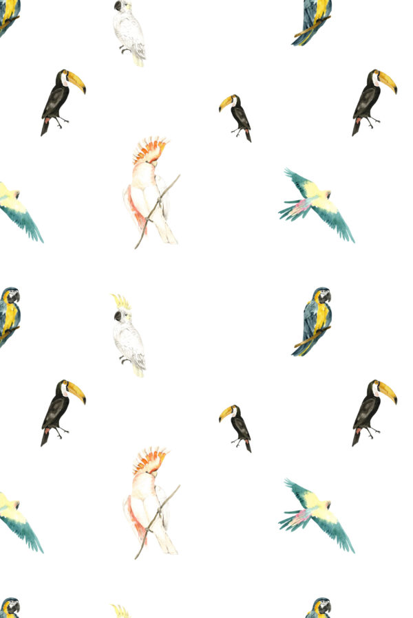 papel pintado n48 pájaros tropicales patrón de la vendimia