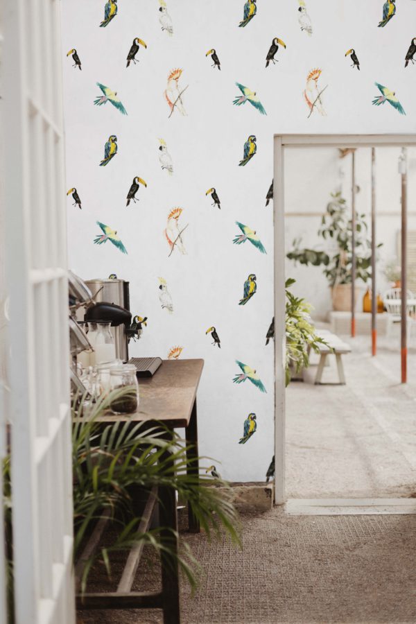 papel pintado n48 aves tropicales espacio público vintage cocina