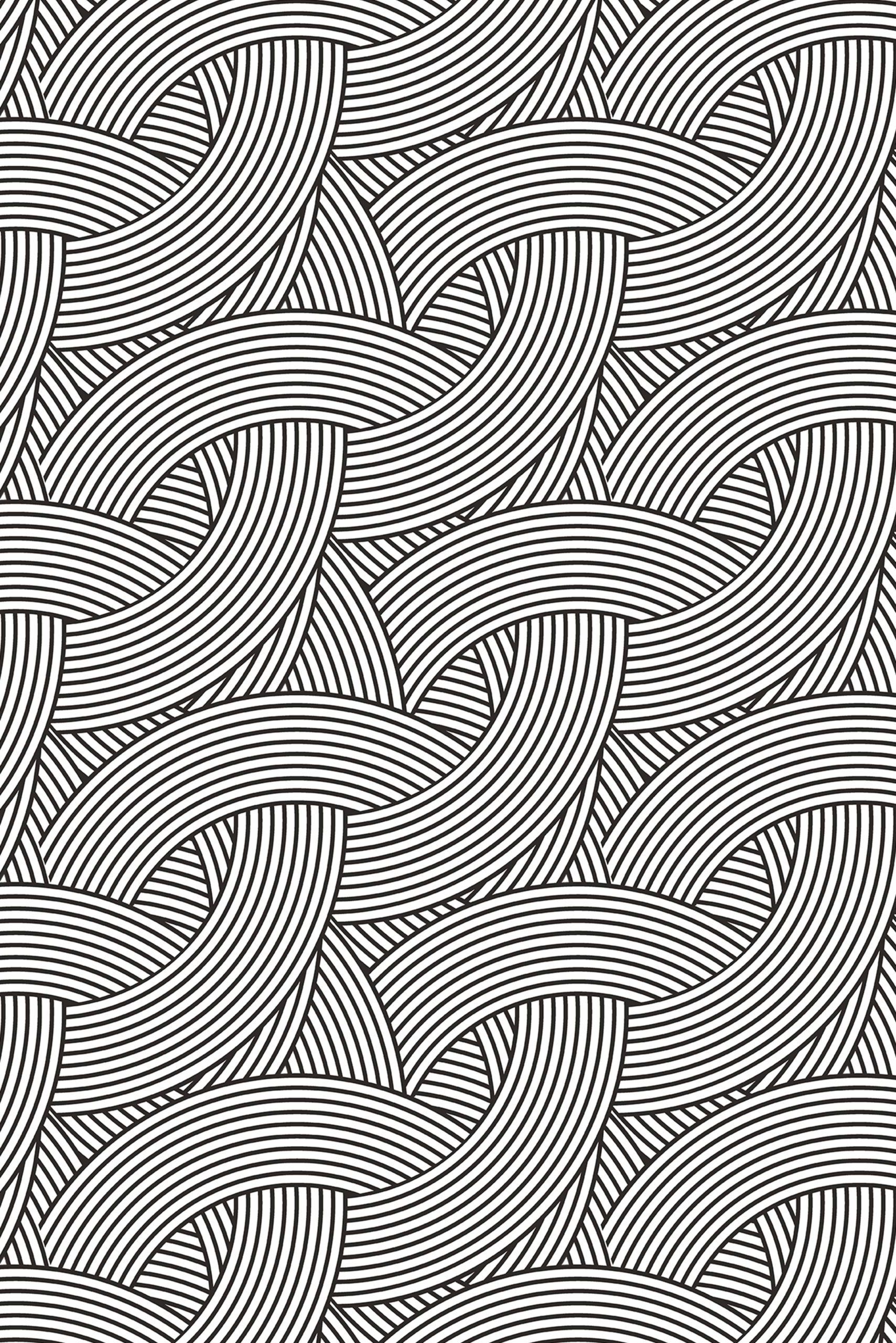 N45 Modern Black & White Lines Wallpaper