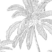 N60 Public Spaces Palm Tree Wallpaper on White Background Zoom