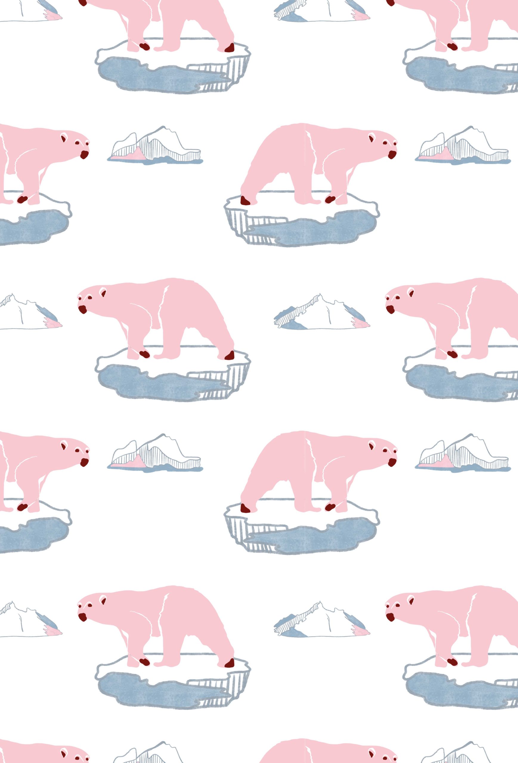 Fondo de pantalla del oso rosa pop