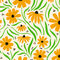 Suzanne Orange Flower Plant Wallpaper