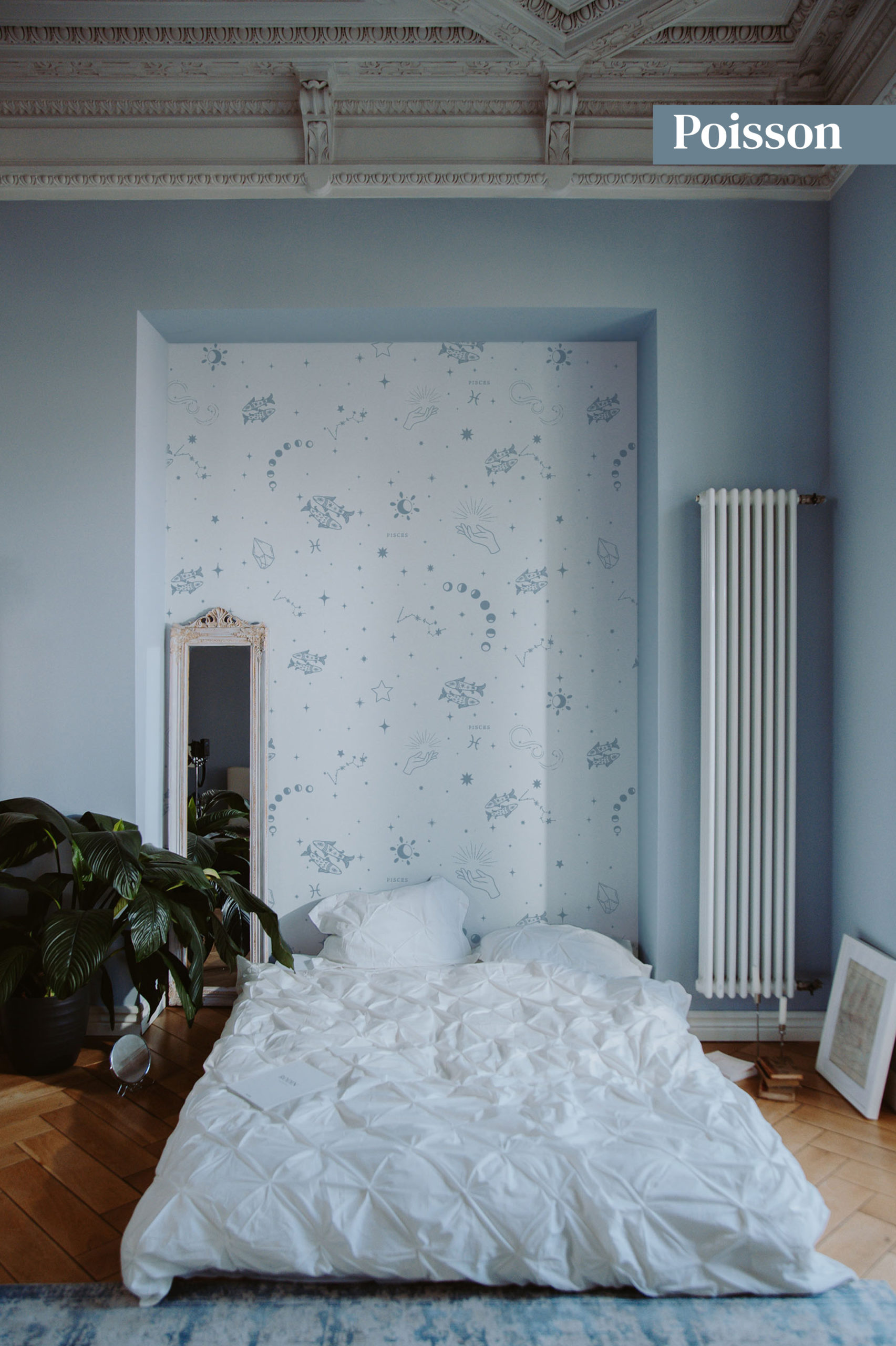 fondo de pantalla astro sign fish