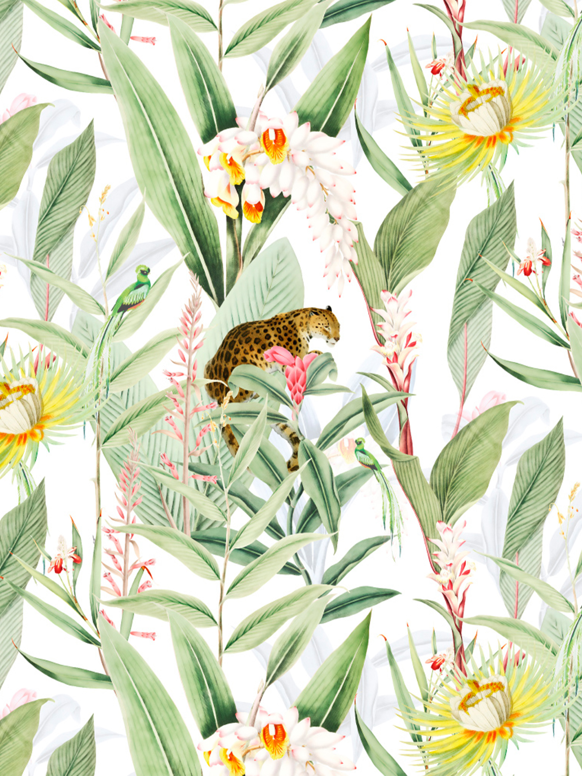 n217_m Papel pintado Jungle Vibe