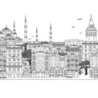 Istanbul wallpaper in black and white