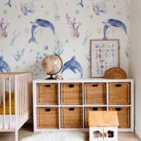 N252 Dolphin Wallpaper for Kids
