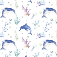 N252 Dolphin Wallpaper for Kids