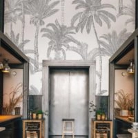 N60 Palm Public Spaces Wallpaper on White Background