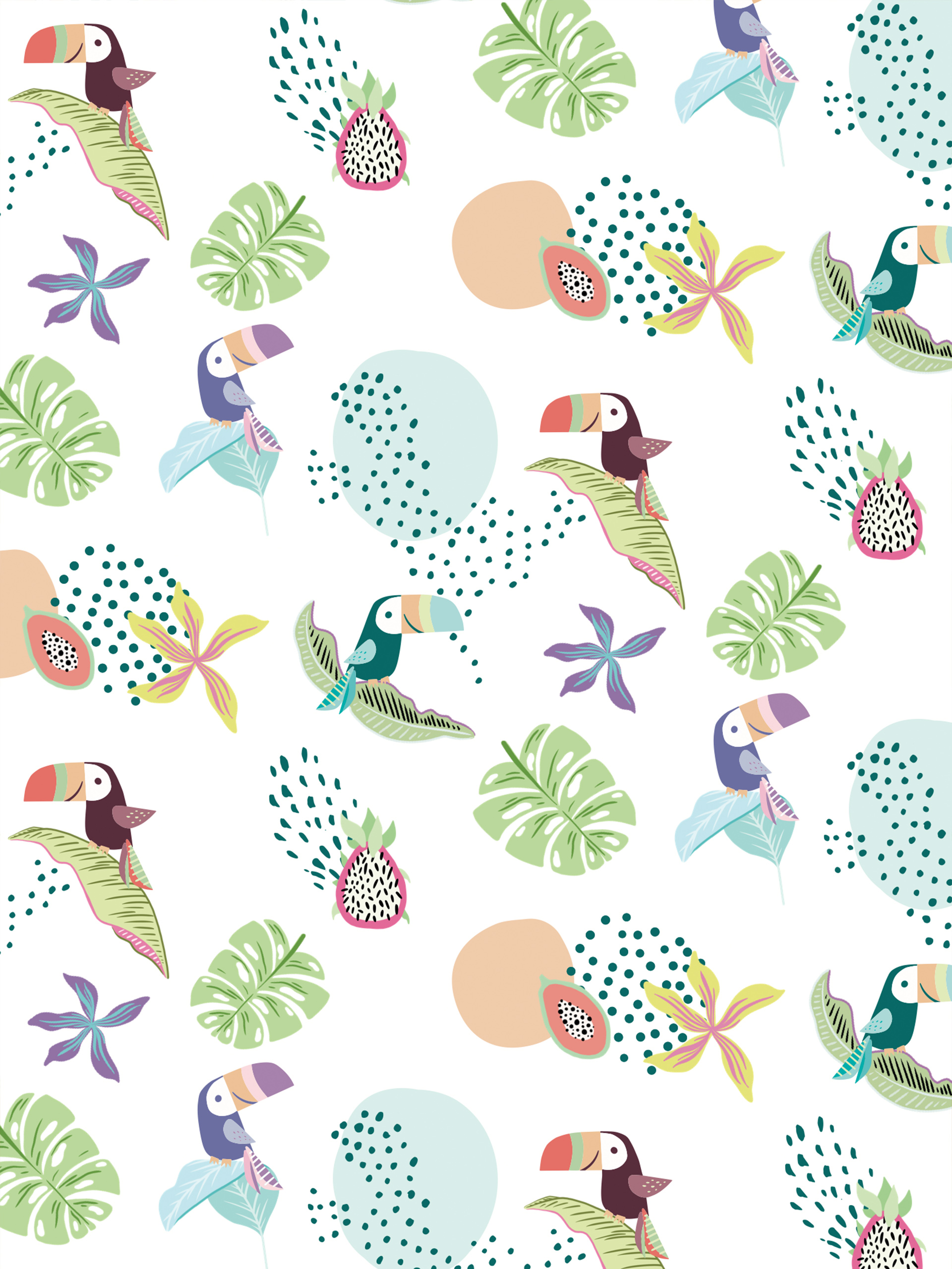 N275 Toucan Wallpaper