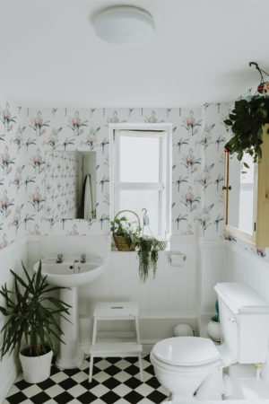 salle de bain papier peint flamant rose animaux nature