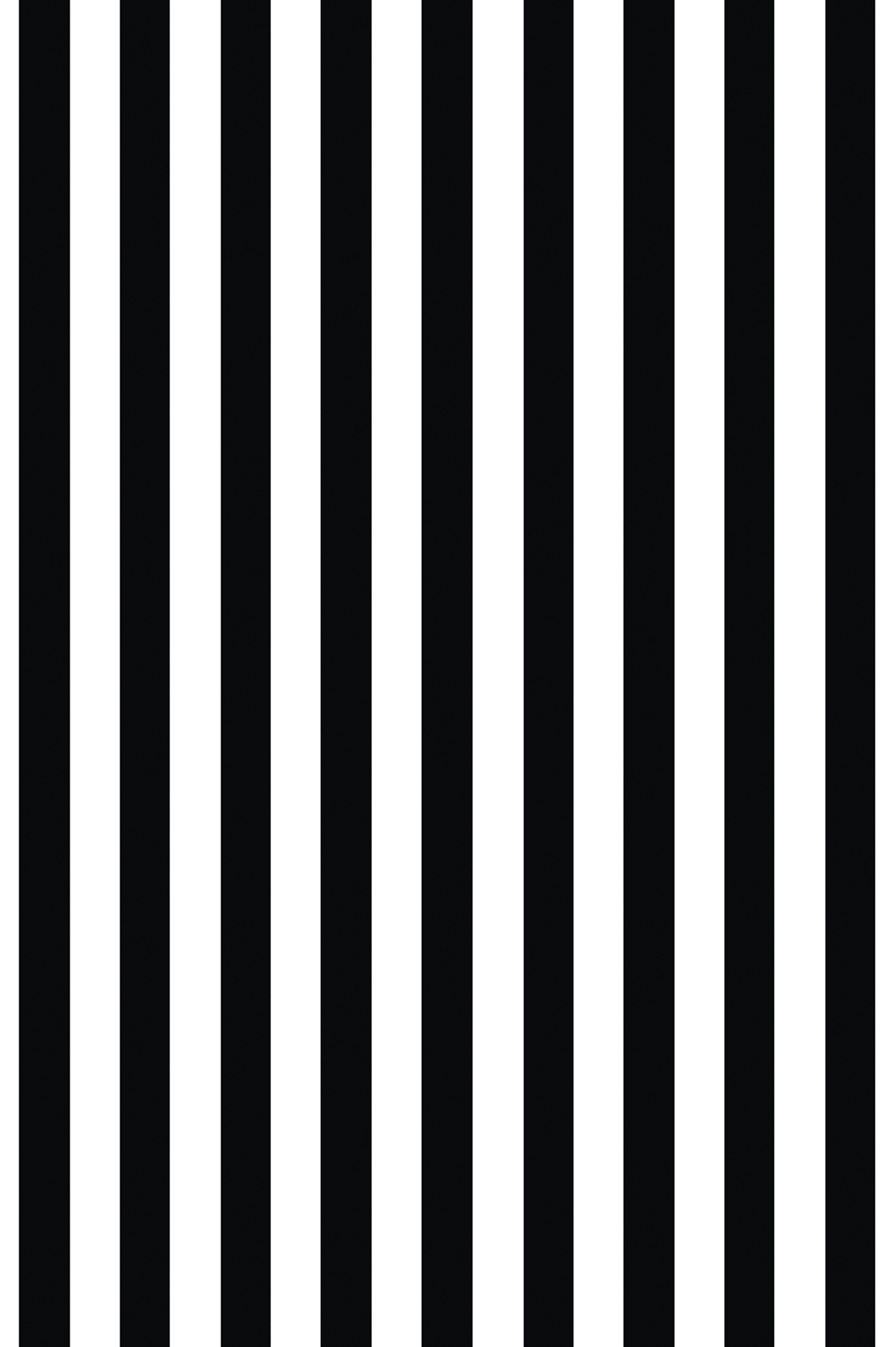 papier peint n312 rayures verticales en noir et blanc motif