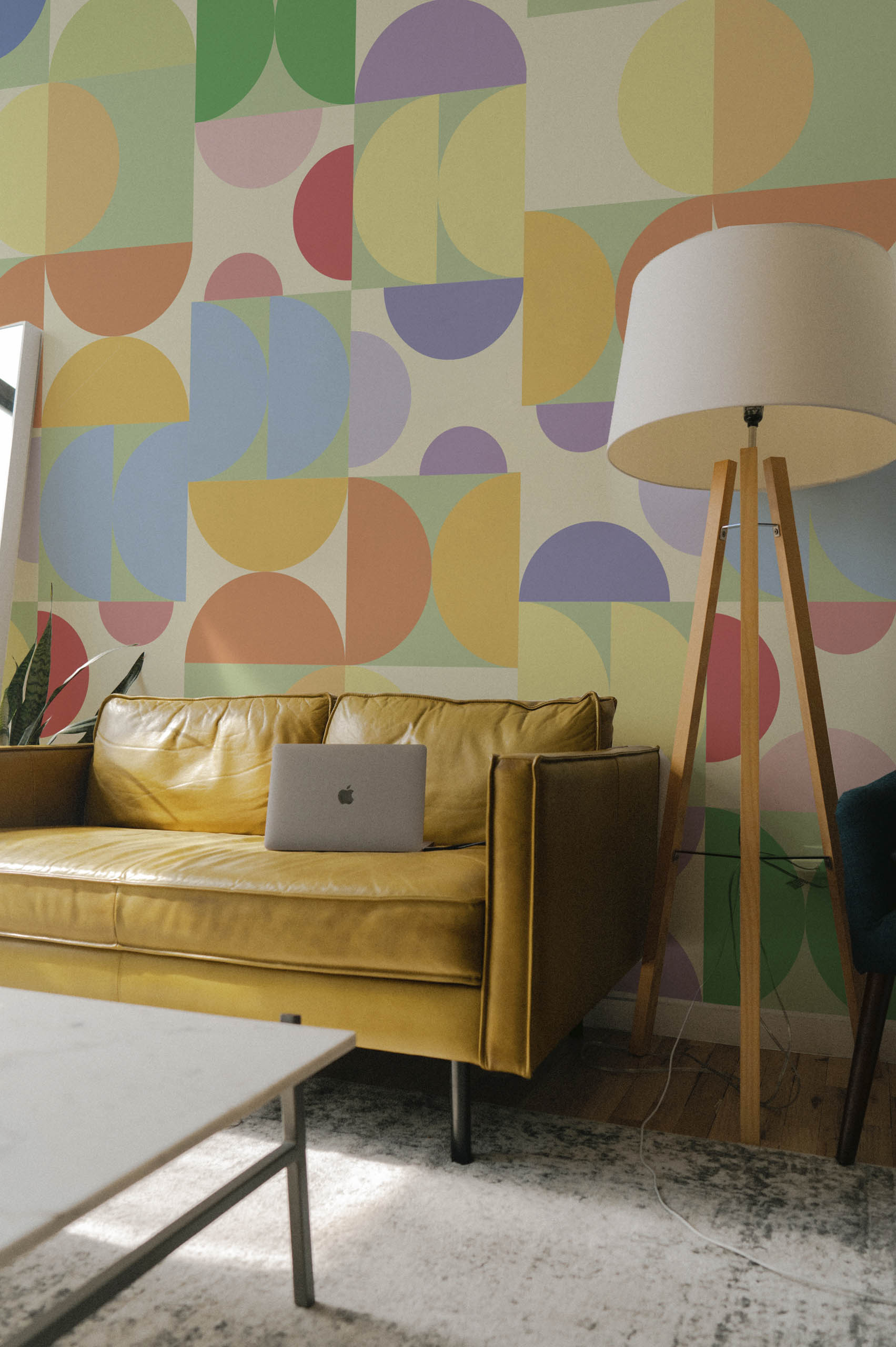 papier peint géométrique demi cercle acidulés pop urbain N426 multicolore salon